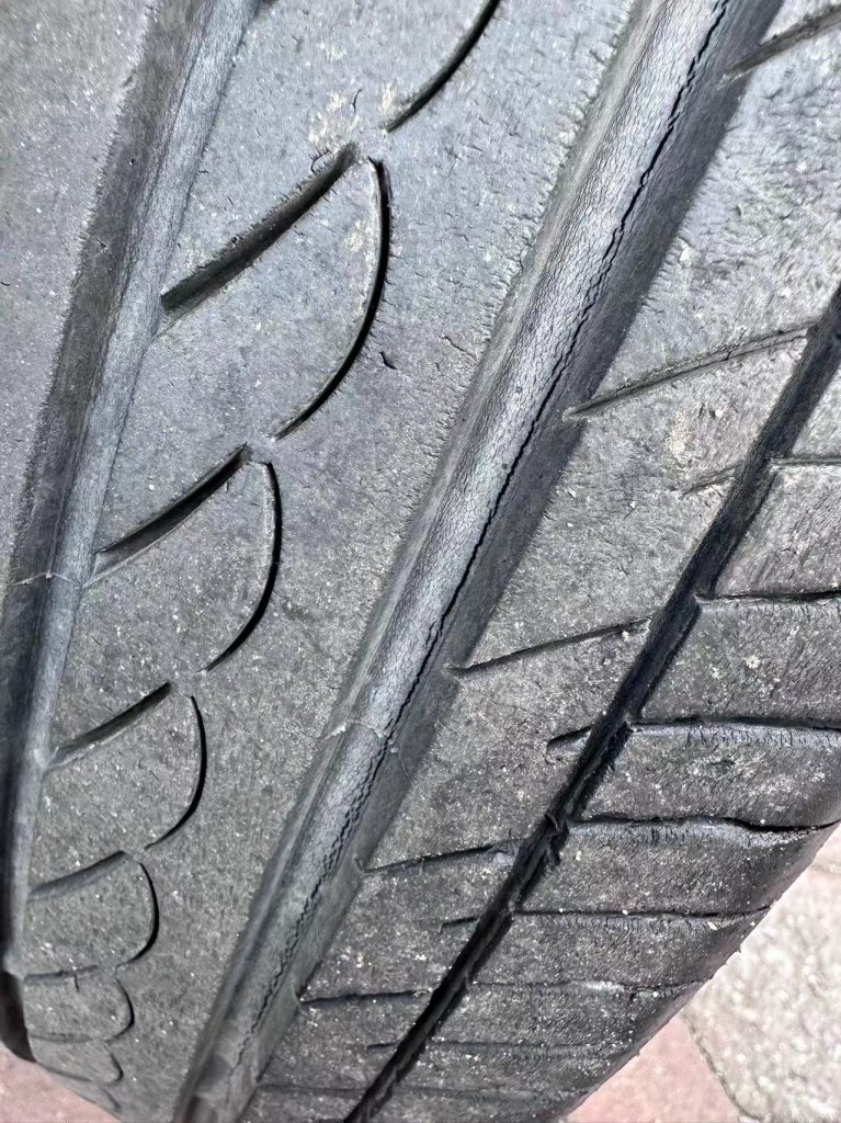���������Ÿ���̥���ؿ���